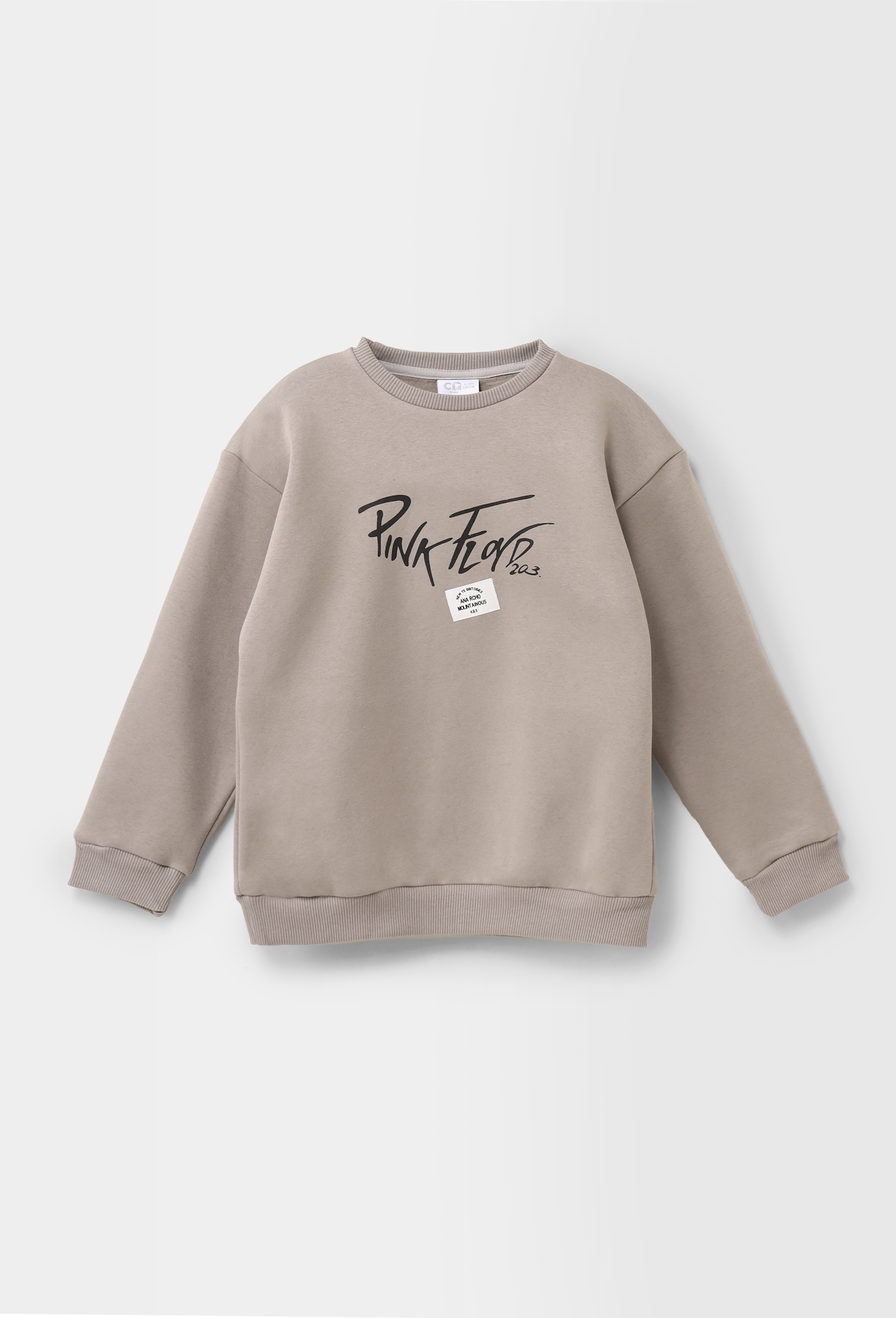 " Pink Floyd "Boys Sweatshirts