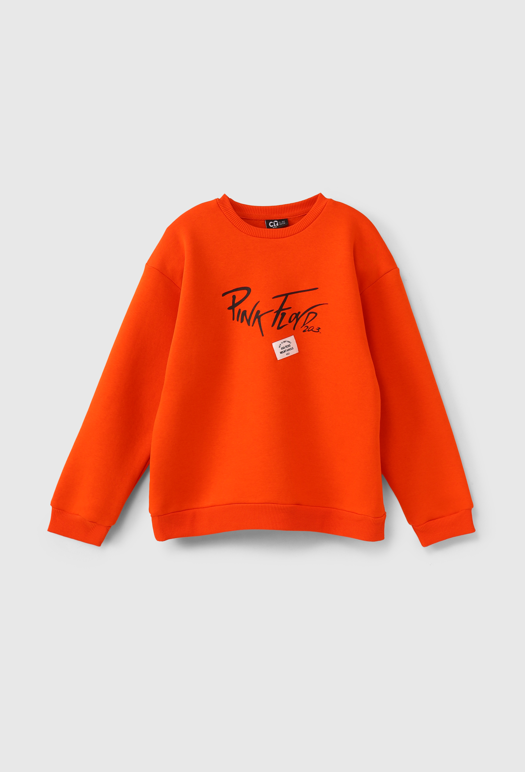" Pink Floyd "Boys Sweatshirts