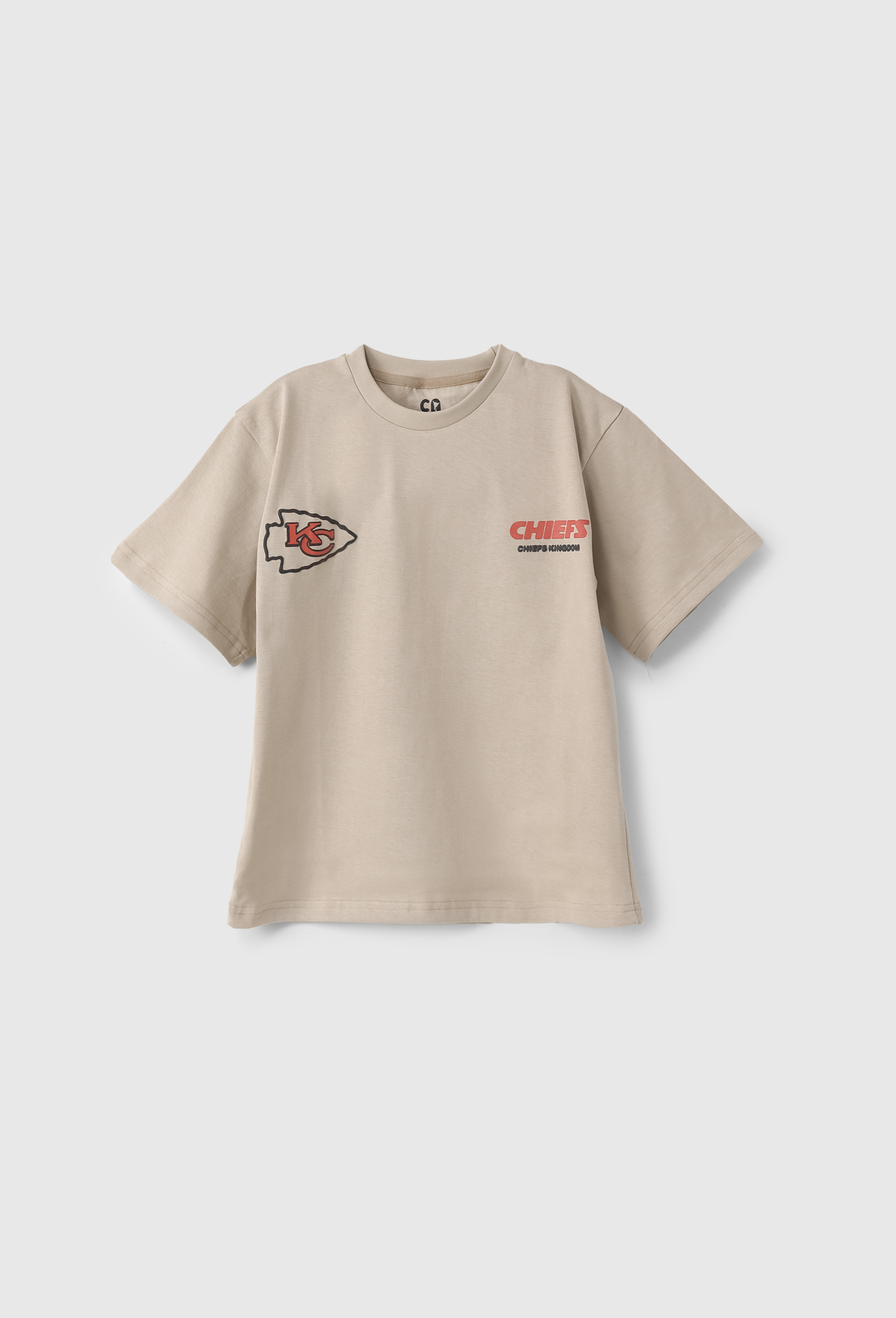 Printed T-shirt for boys