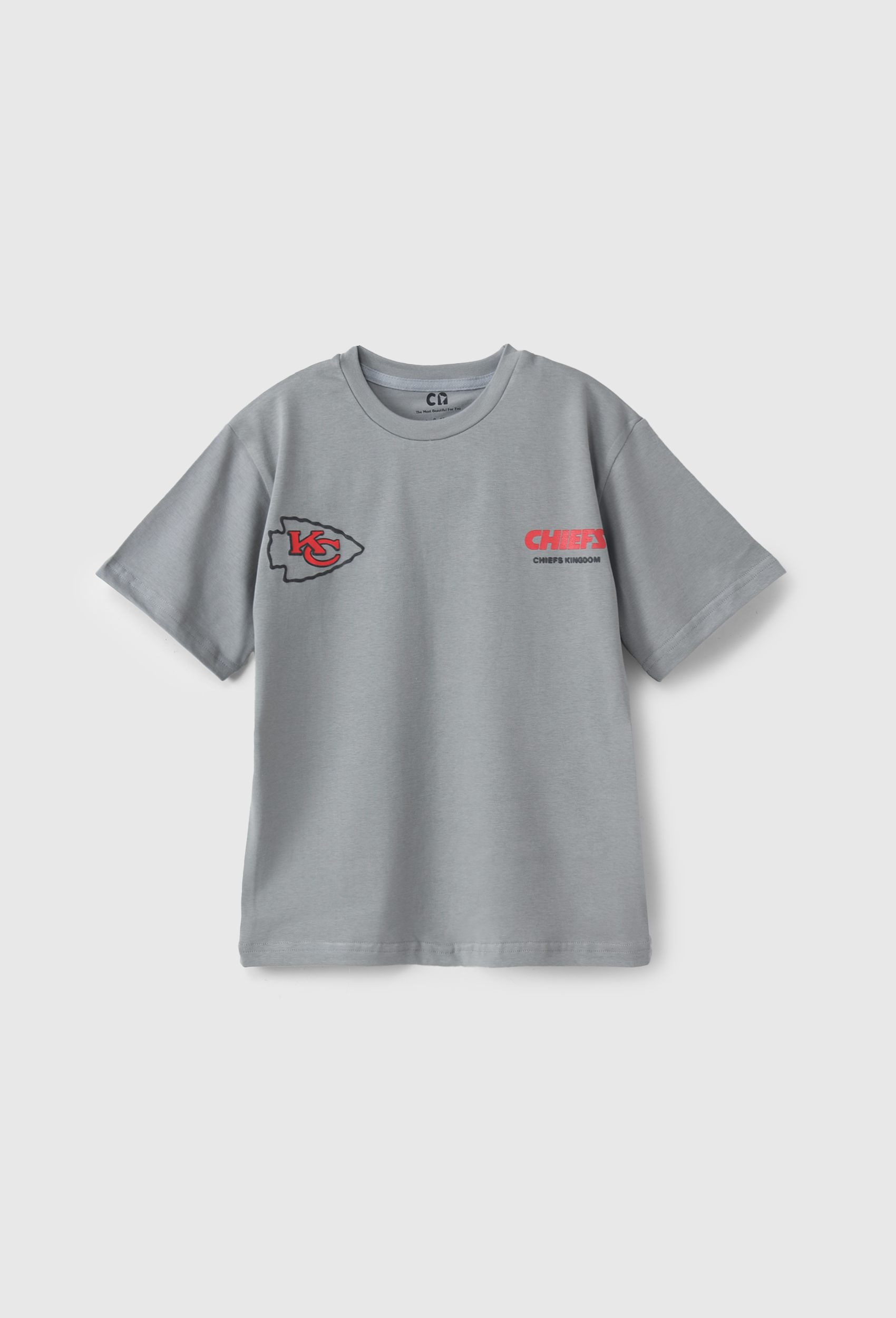 Printed T-shirt for boys
