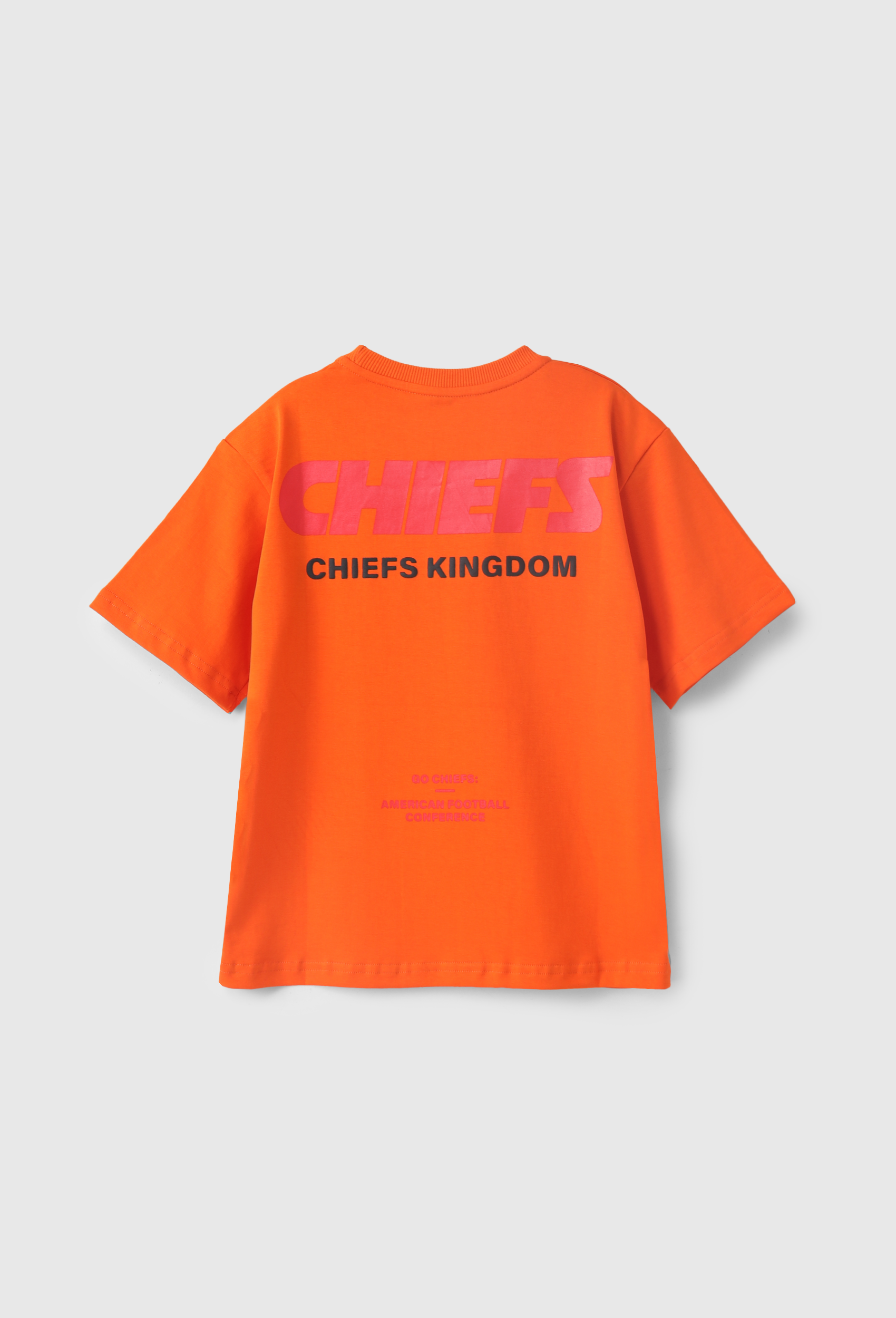 Printed T-shirt for boys
