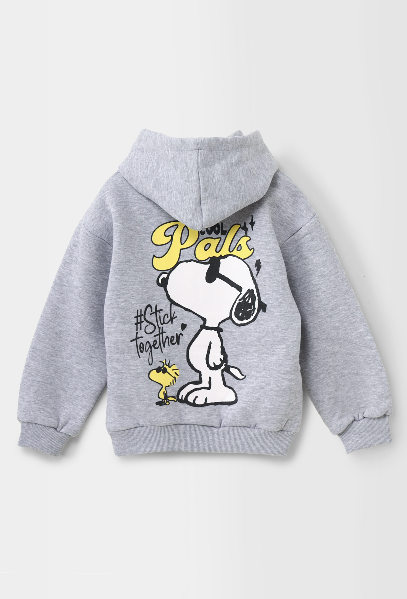 "Pals Hoodie" for boys